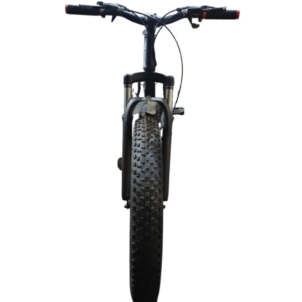 Cycle Fat Tyre 5