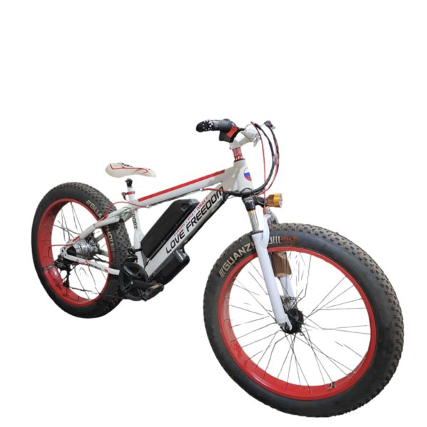 Cycle Fat Tyre with Battery 4