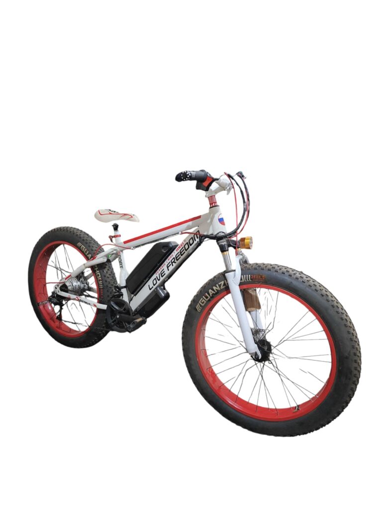 Cycle Fat Tyre with Battery 4